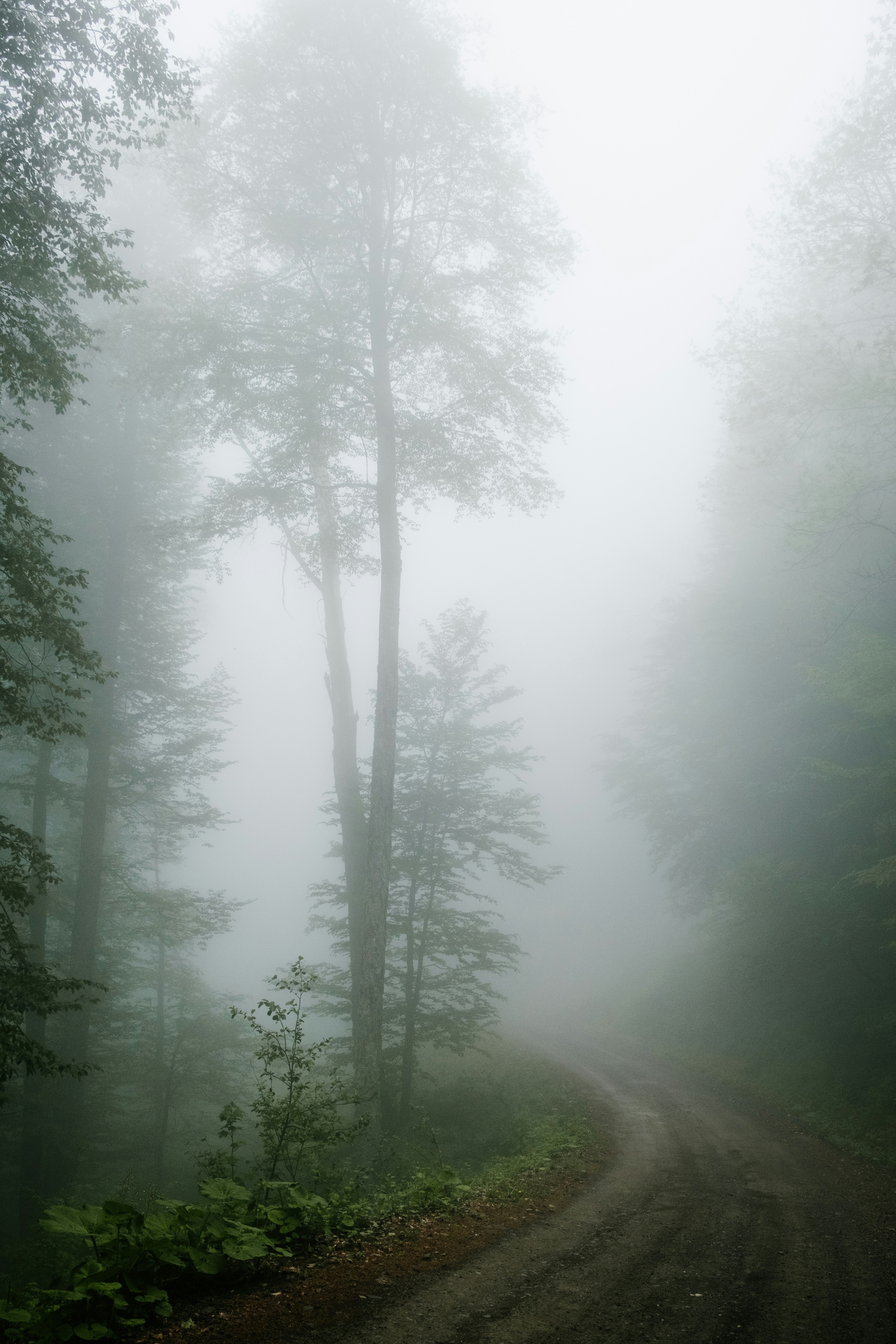 Photo by alex_akimenko