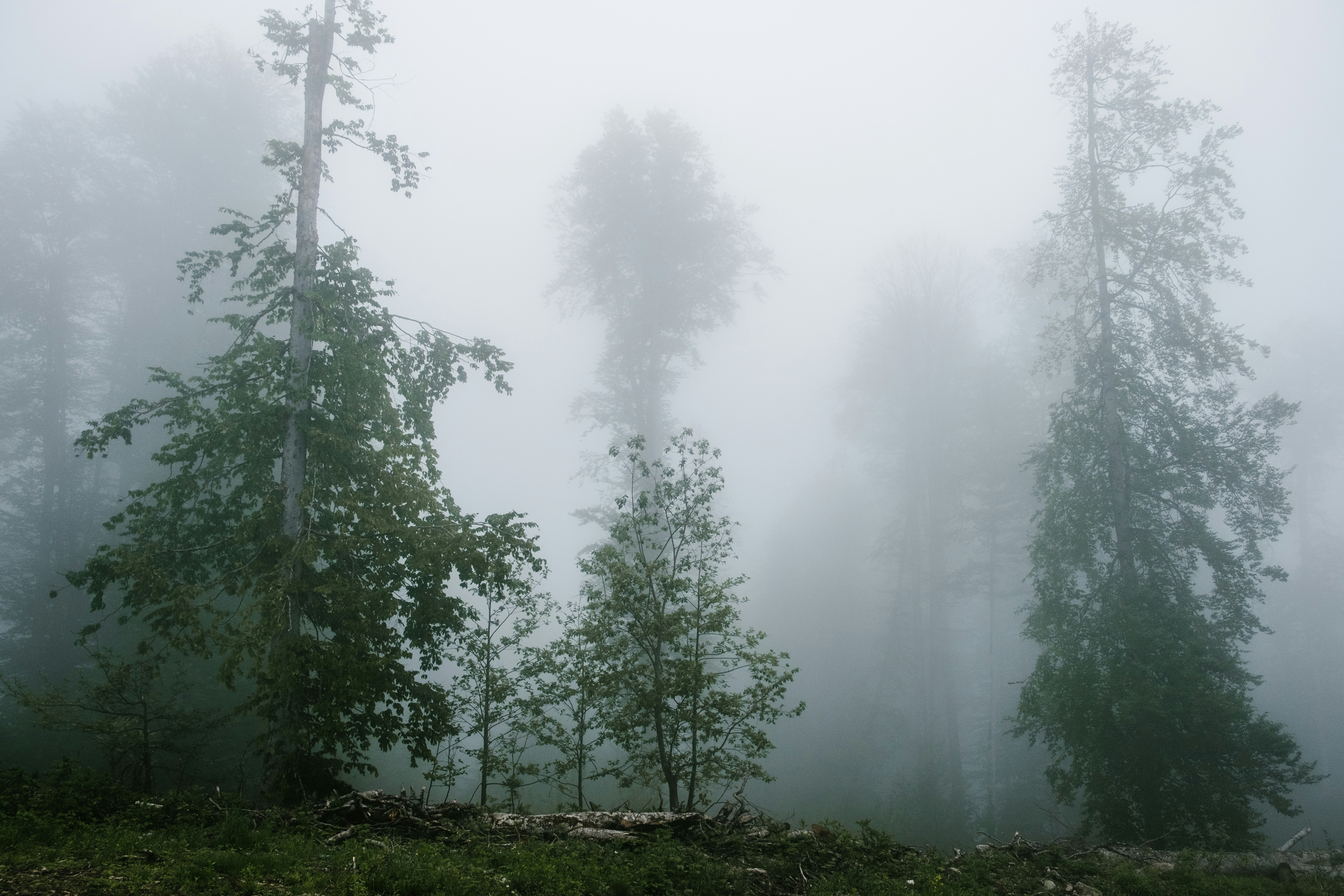 Photo by alex_akimenko