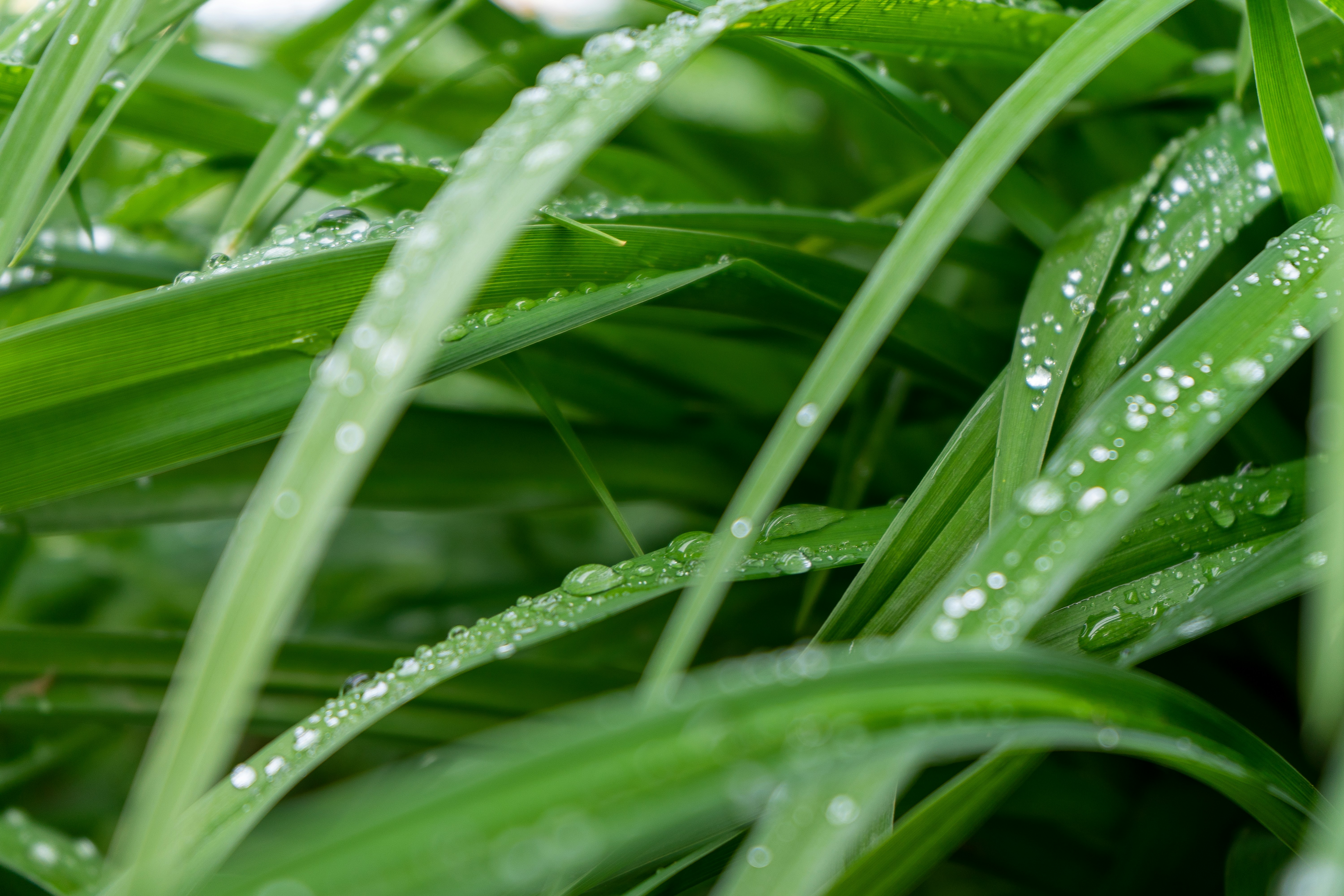 Photo by jazlyn_sage