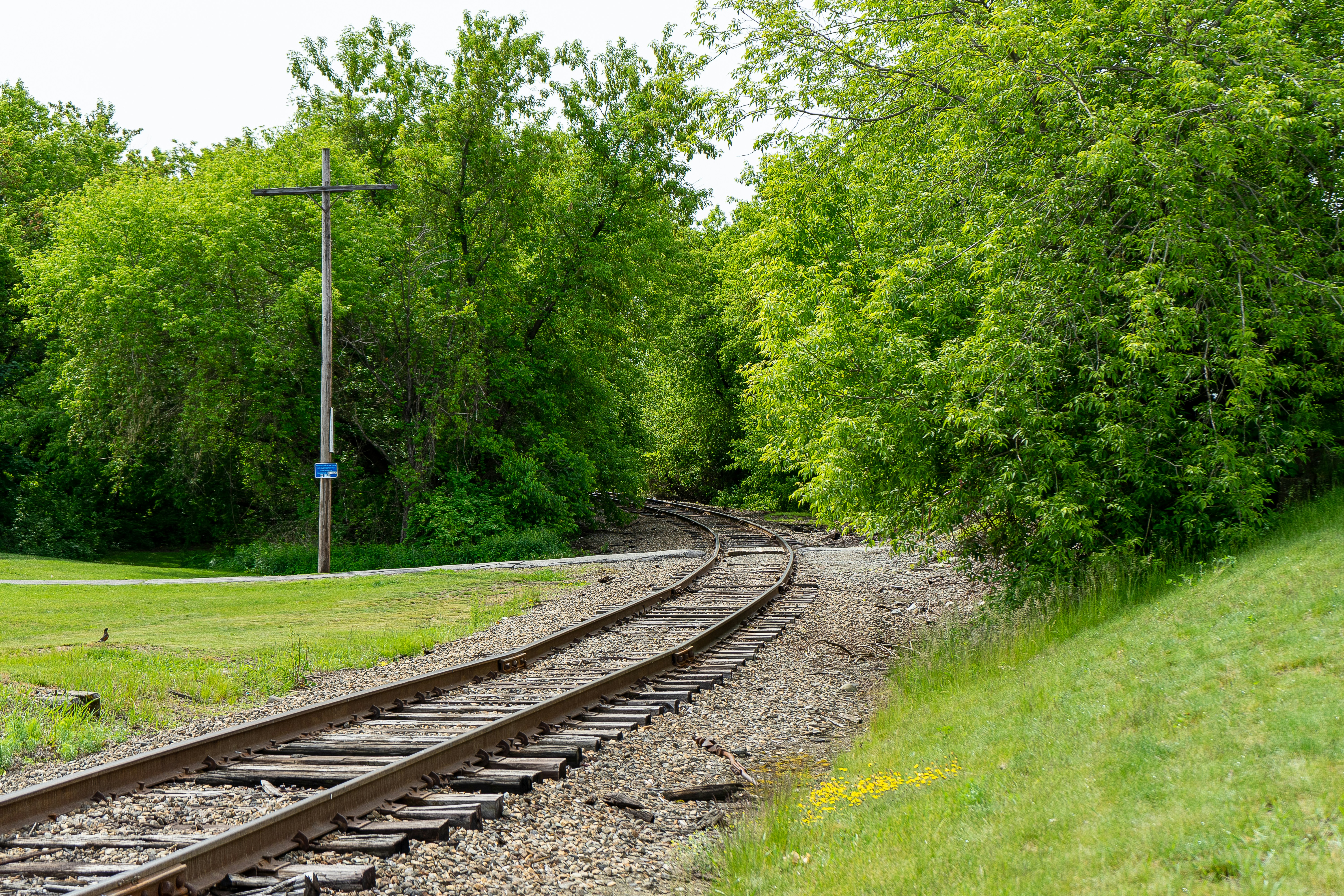 Photo by jazlyn_sage