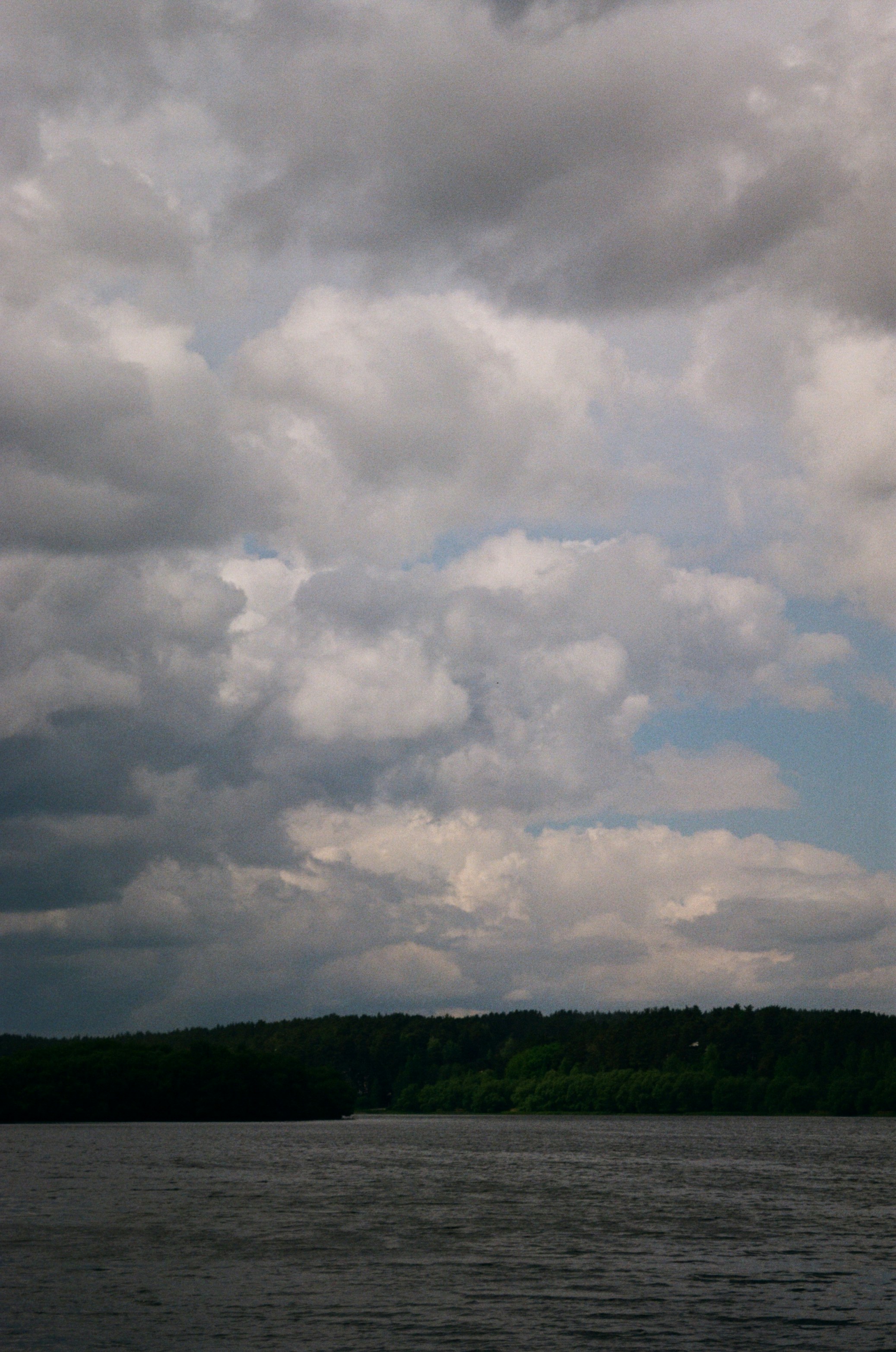 Photo by vegfrt