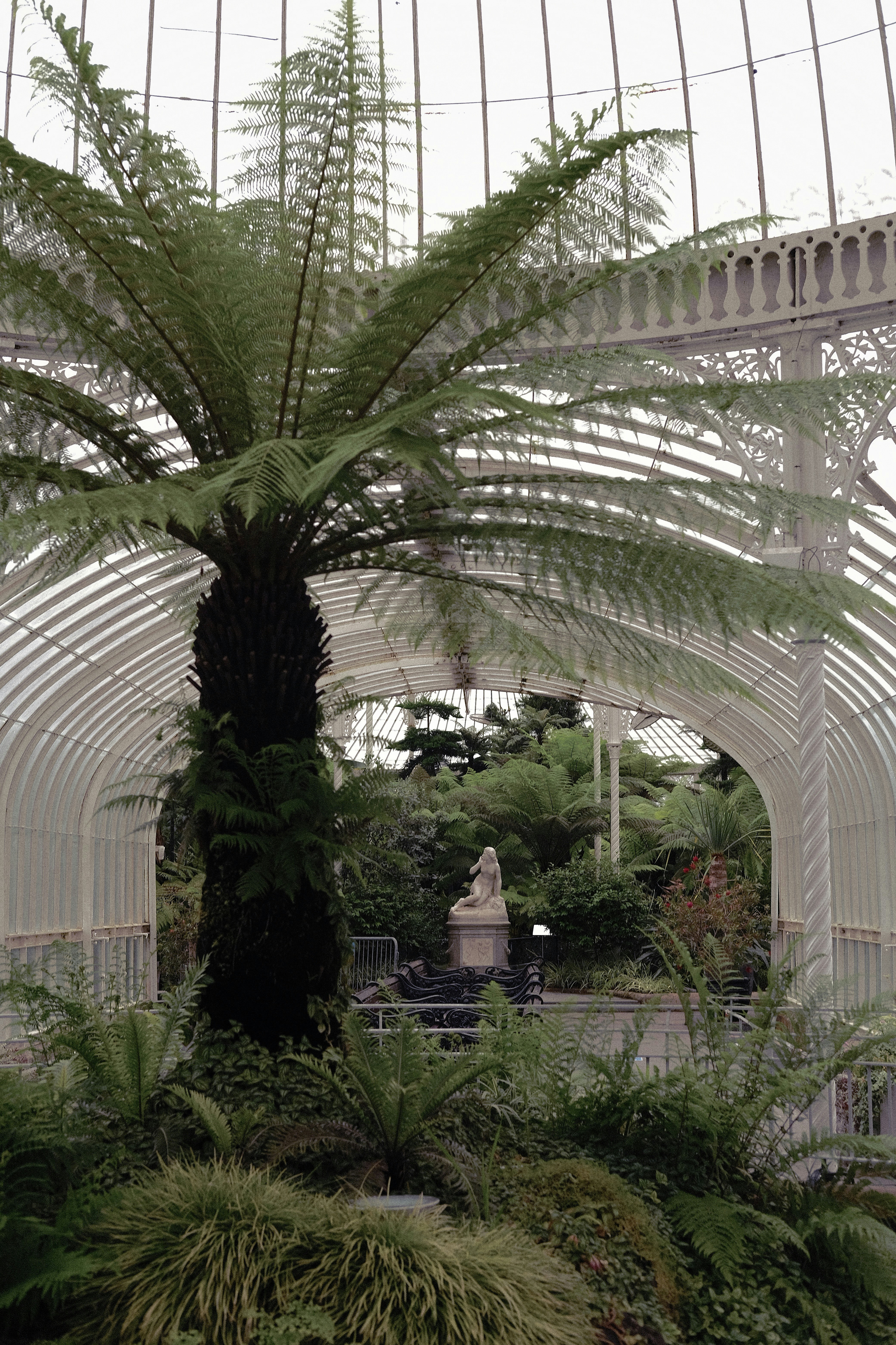 a palm tree inside of a white building