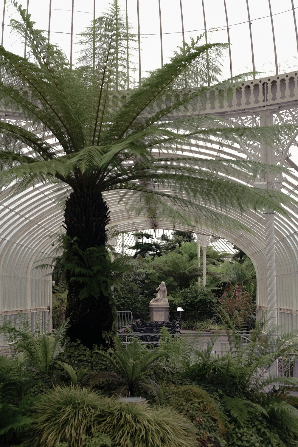 a palm tree inside of a white building