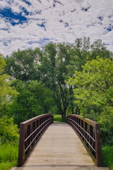 brown wooden bridge over green trees under blue sky and white clouds during daytime