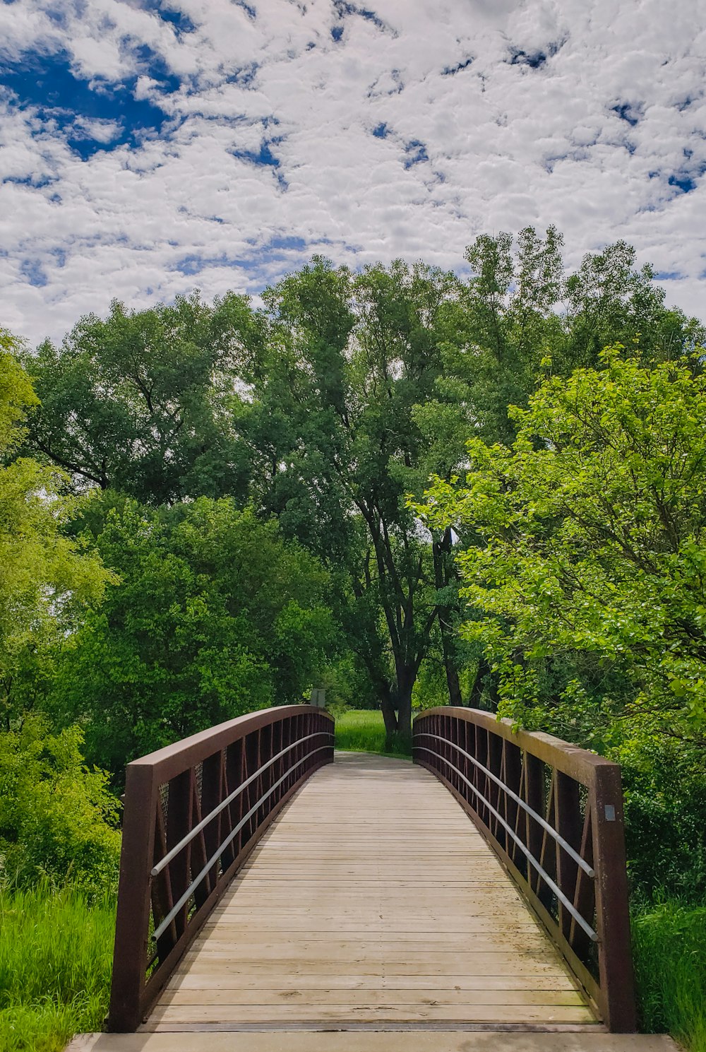 昼間の青い空と白い雲の下の緑の木々に架かる茶色の木橋