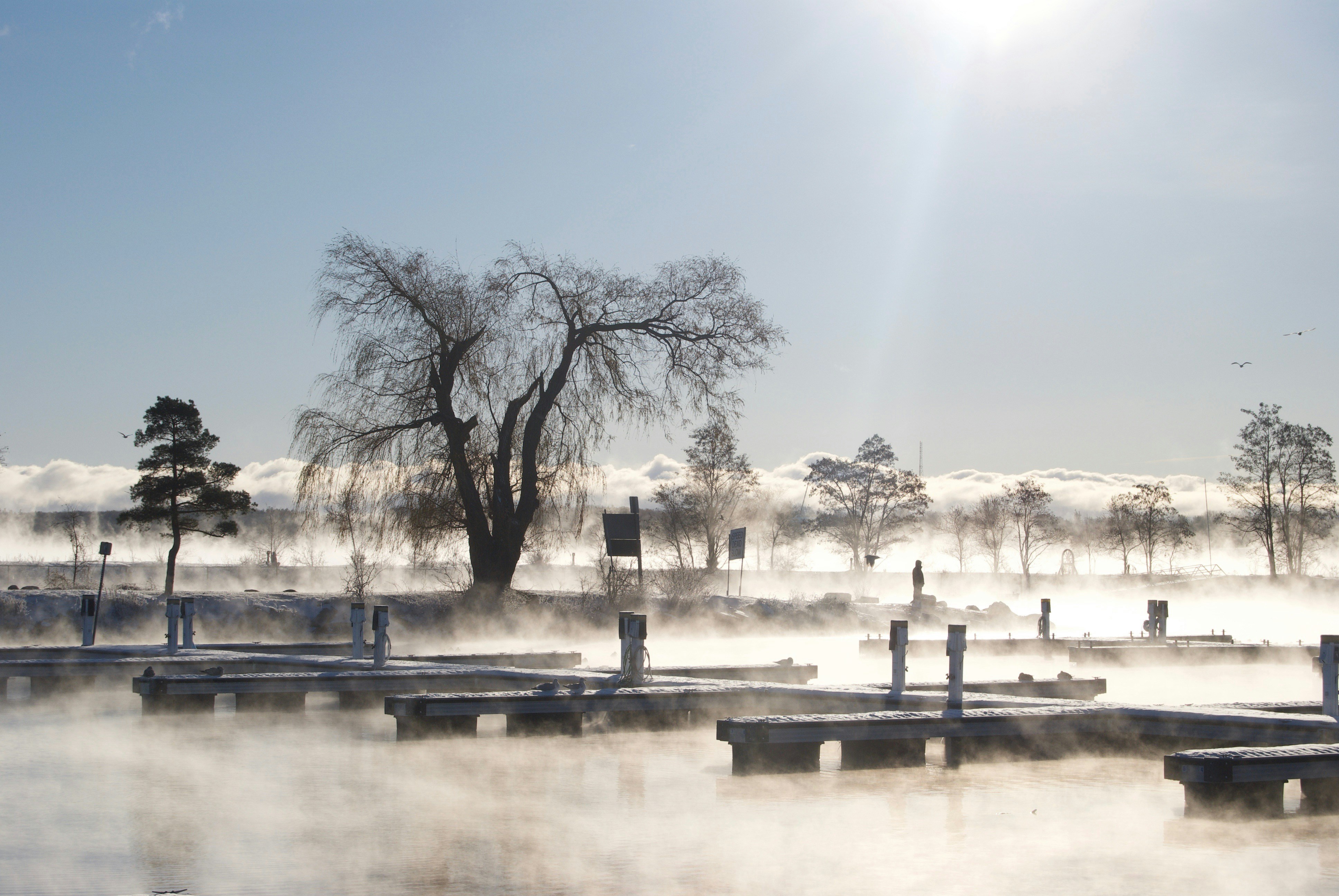 The 2 best eco hotels for your next trip to Barrie