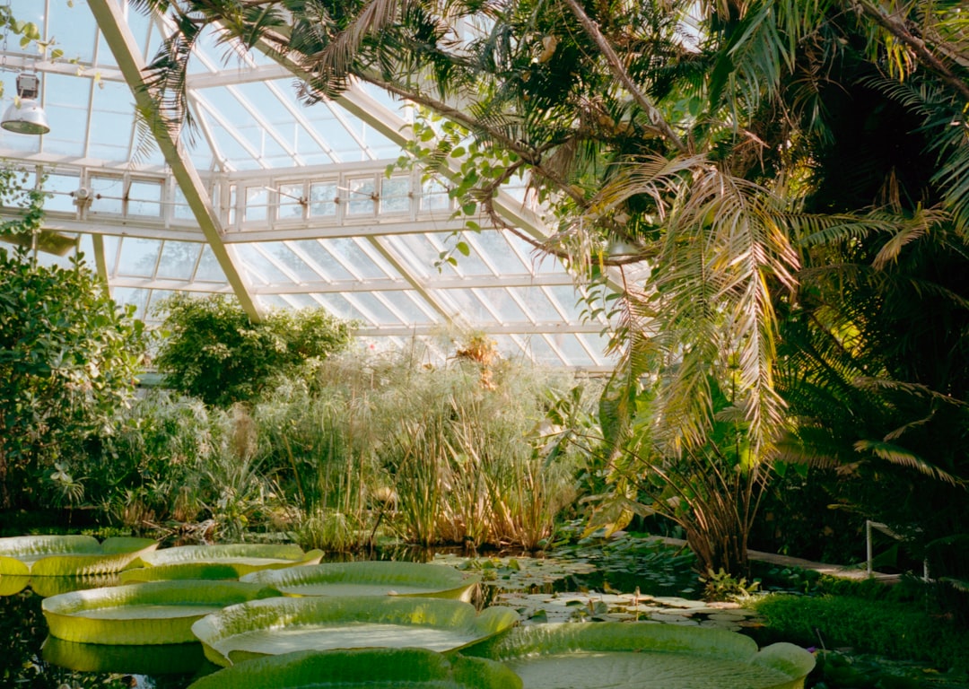 Botanical Garden Photo by Jonas Denil