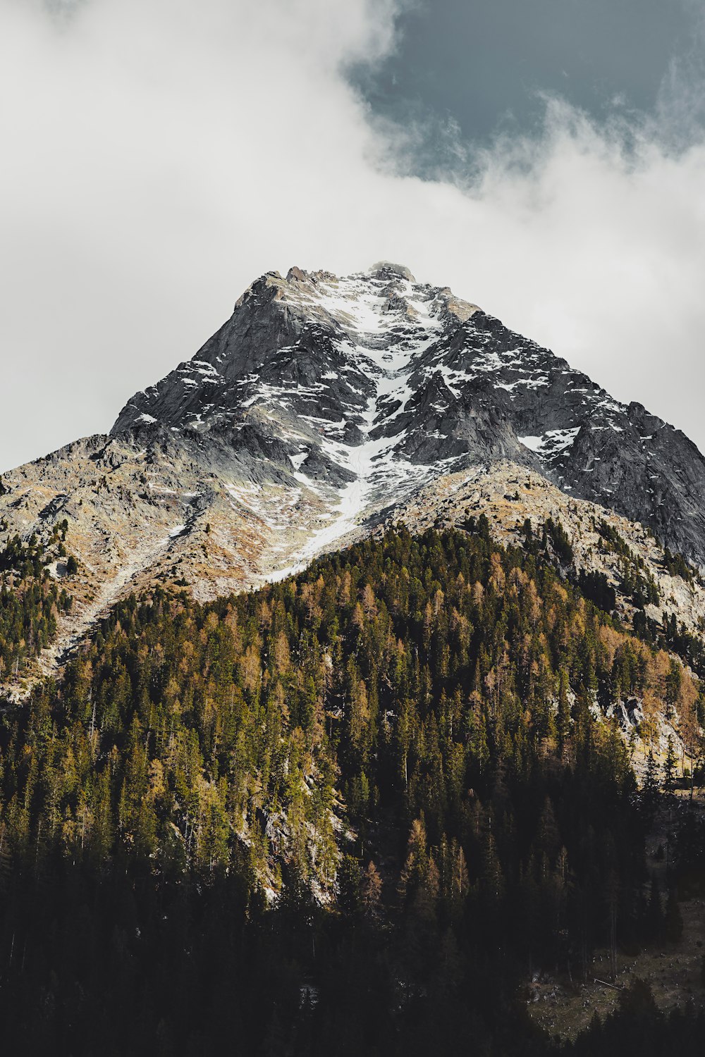 a snow covered mountain with a forest below