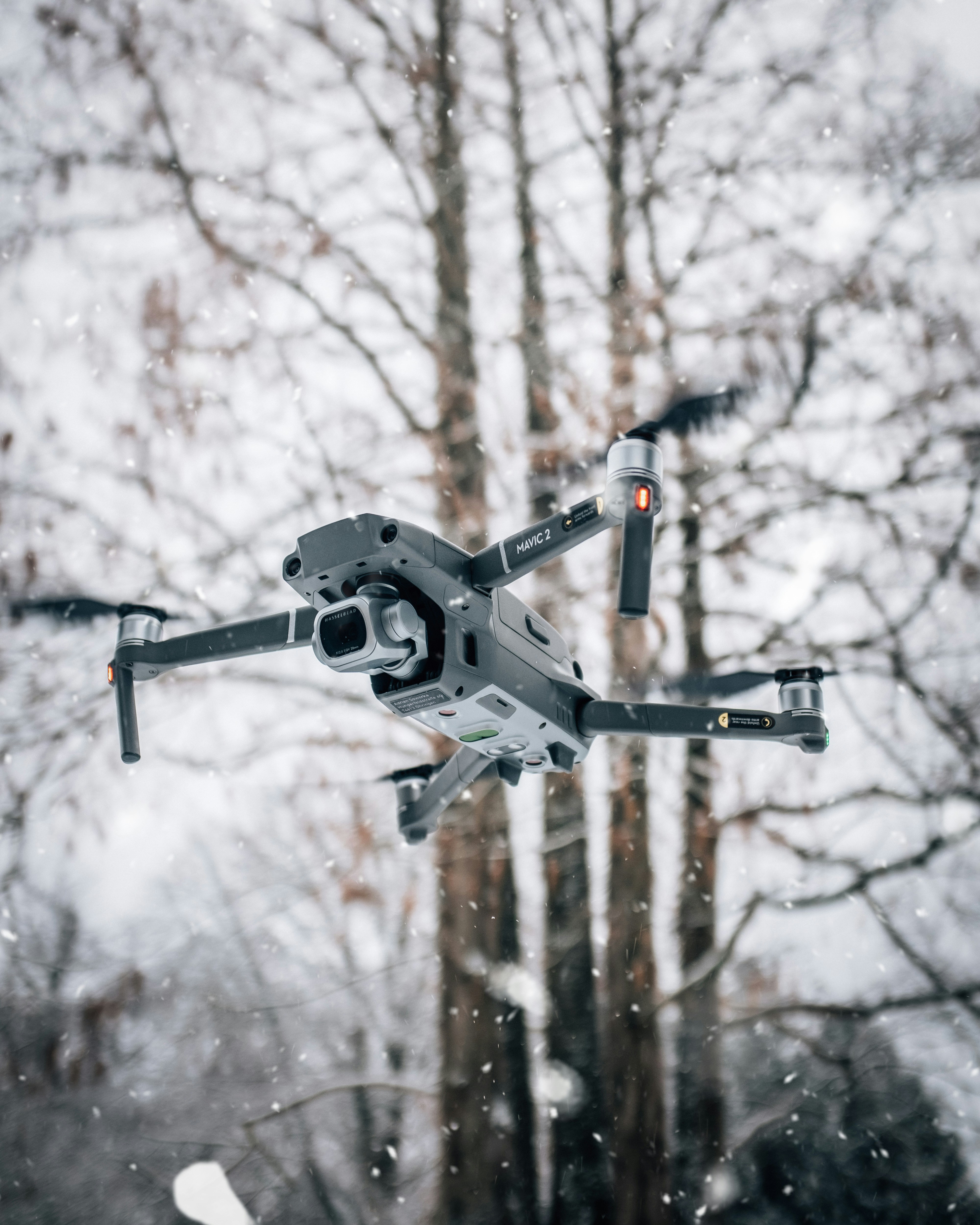 Photo by adrian_sowo