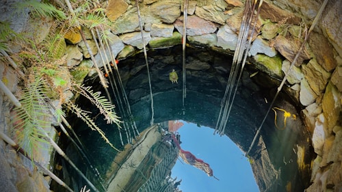 A stone well with clear water inside, showing a reflection of the sky and a couple of plants. Several wooden or metal poles are vertically placed inside the well. Ferns and other greenery grow around the edge, adding a touch of nature.