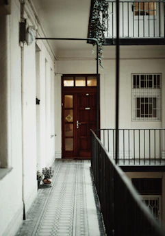 a hallway with a door and a plant on the floor