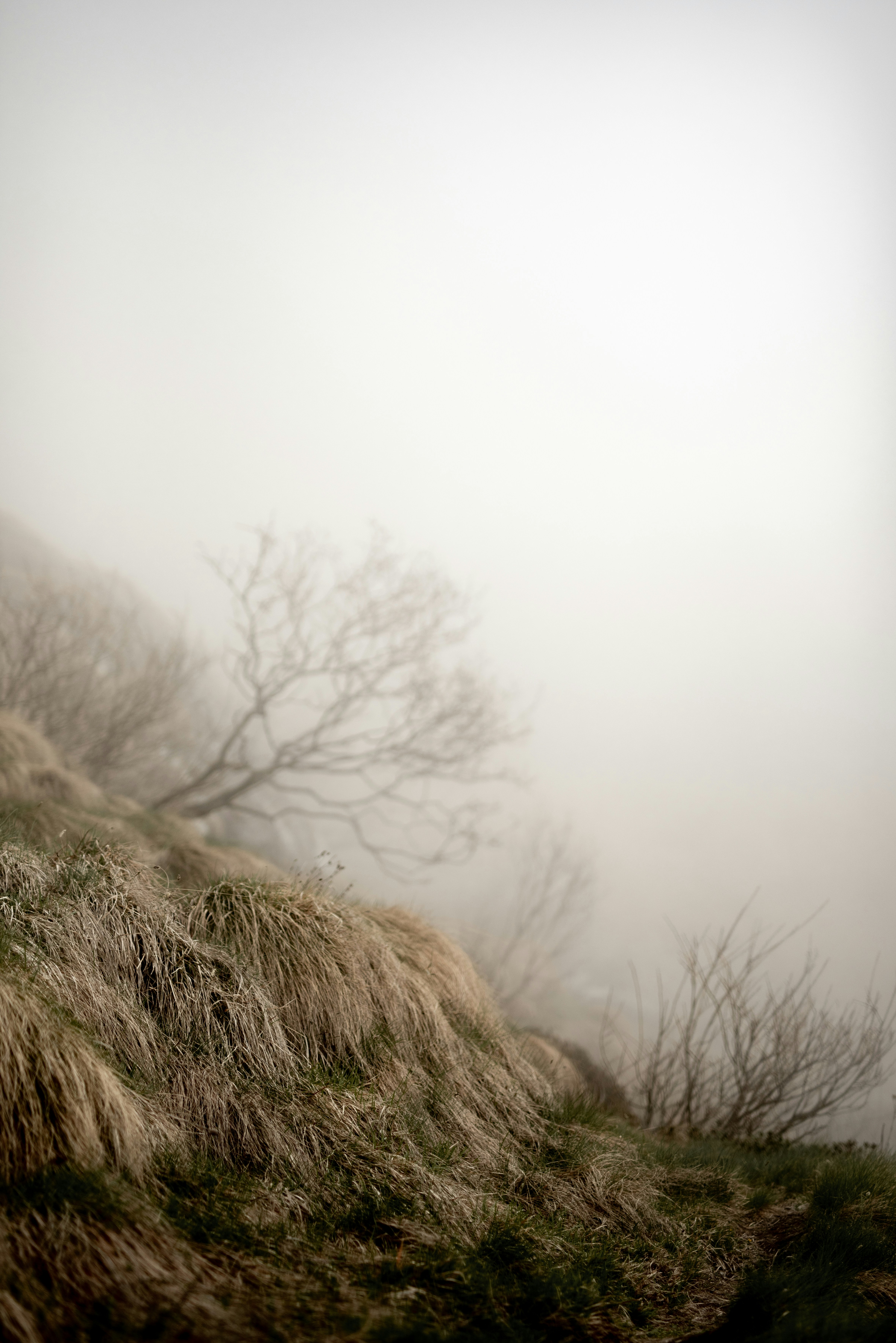 Photo by lauraadaiphoto