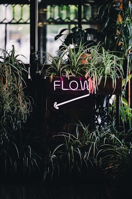 a neon sign that reads flow next to some plants