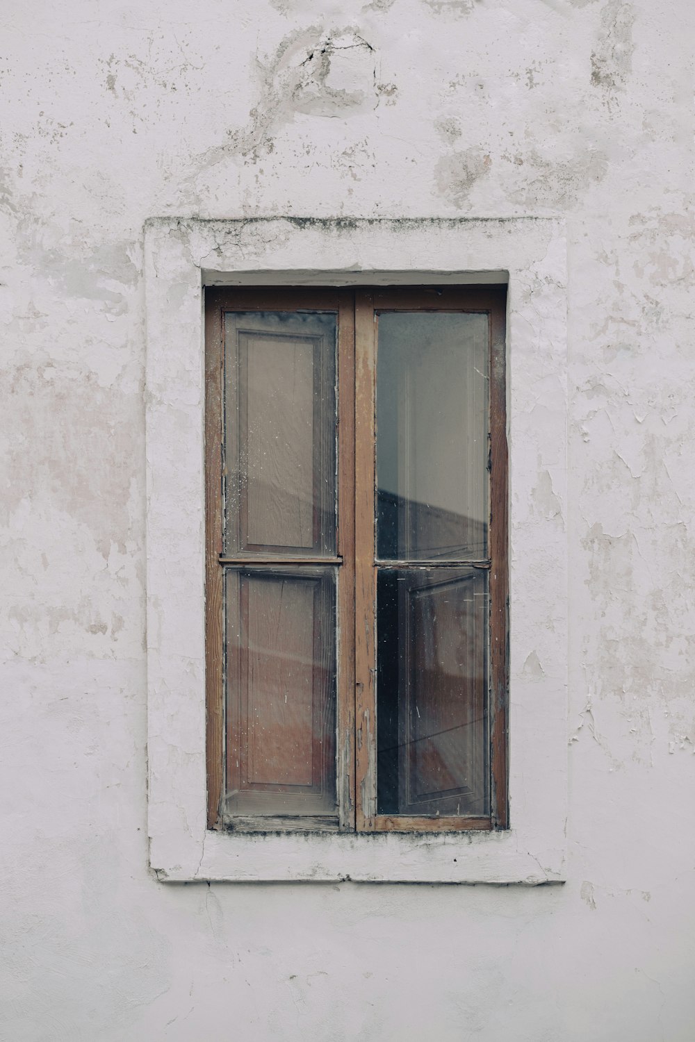 a cat sitting on a window sill next to a window