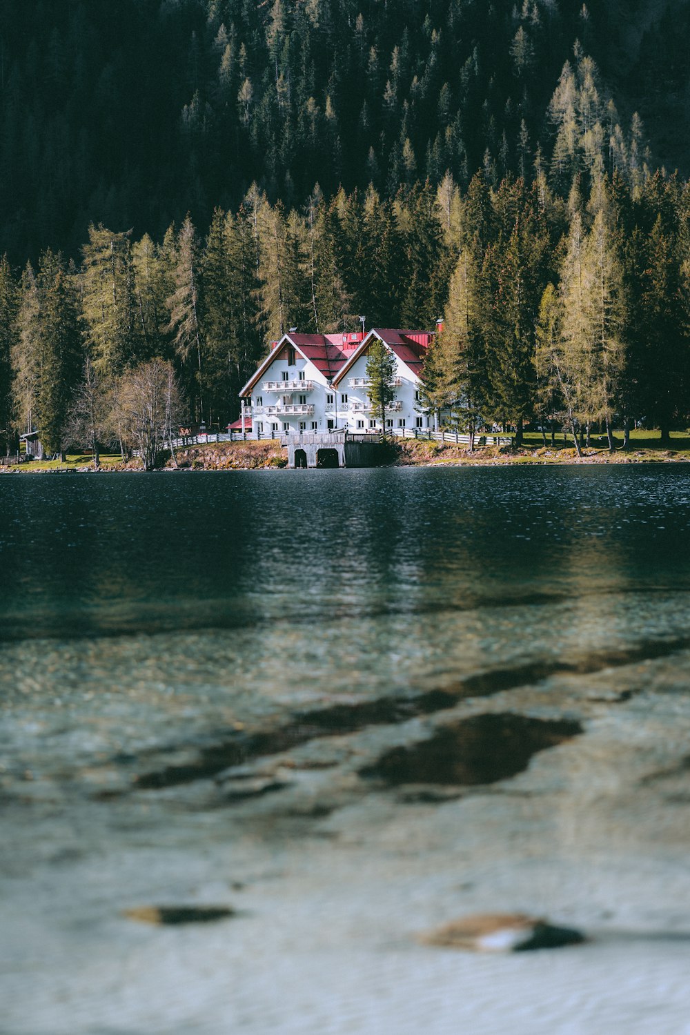 森の隣の湖の上に座っている家