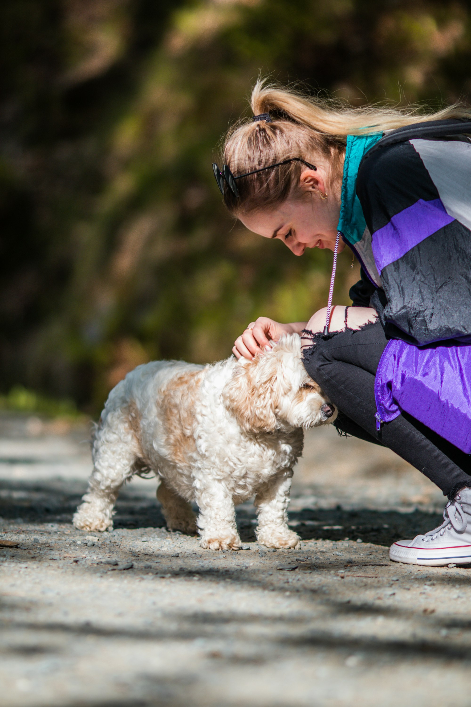 Girl petting a dog