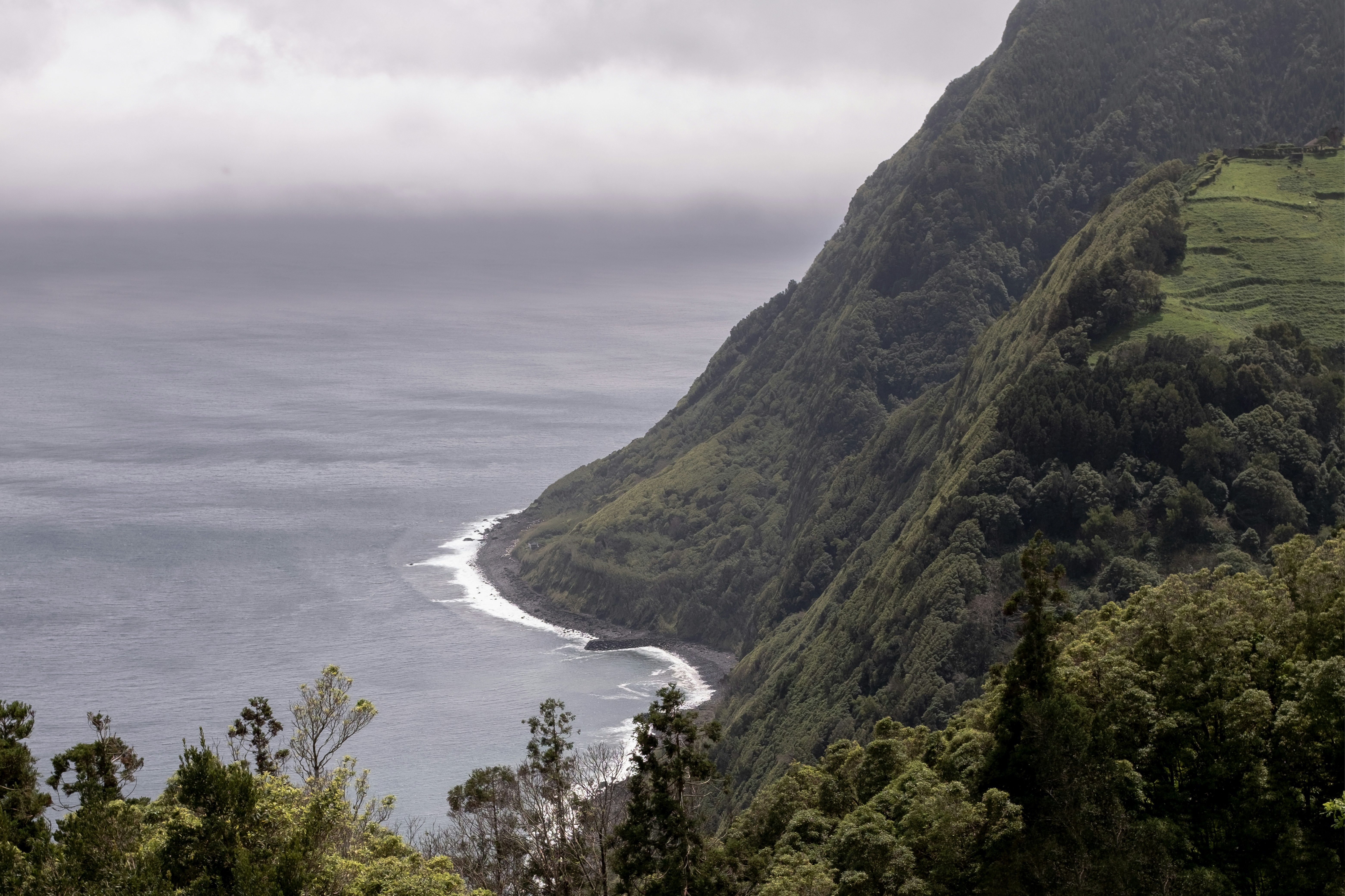 Photo by mariamiguelcardeiro