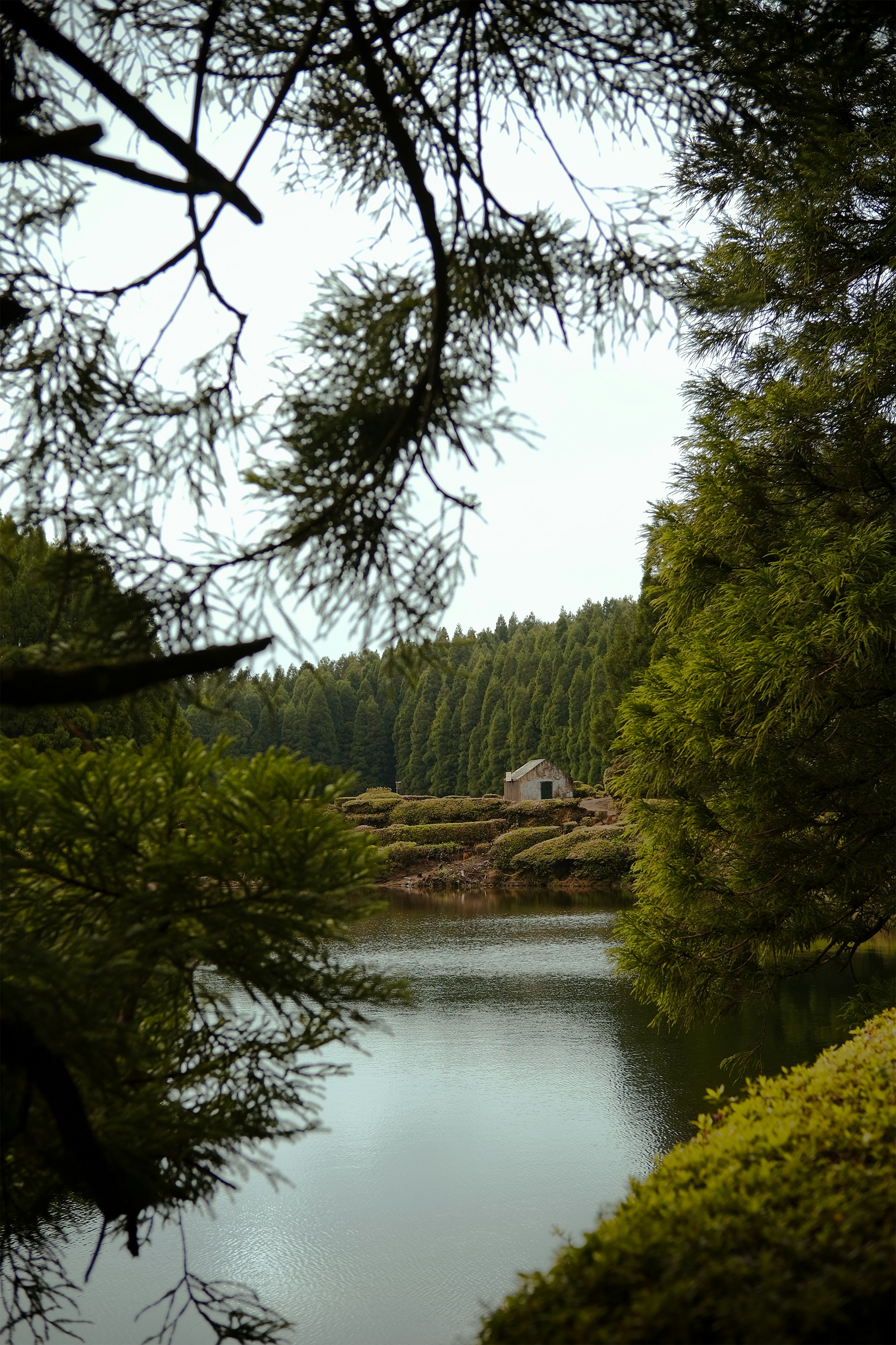 Photo by mariamiguelcardeiro