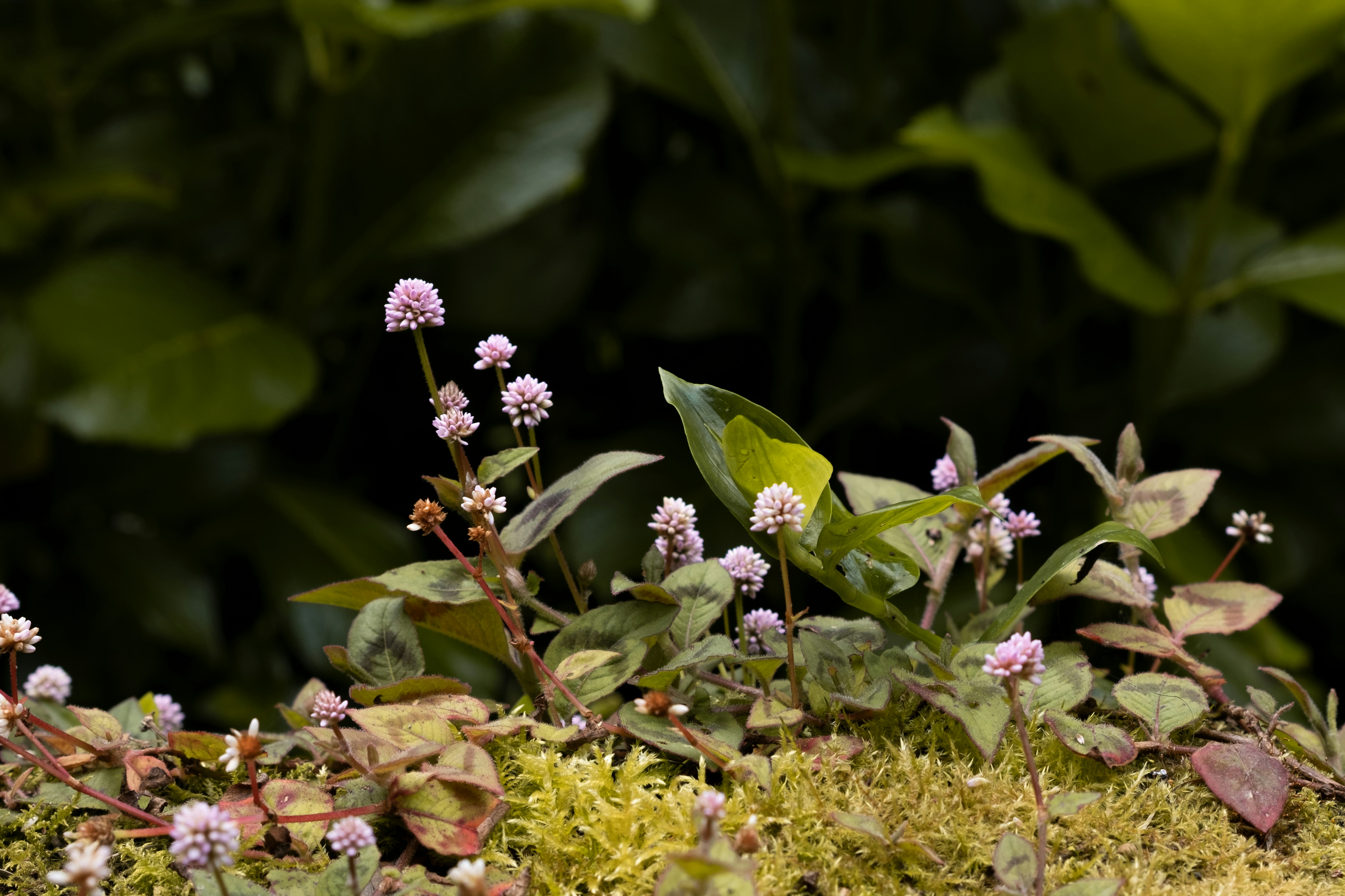 Photo by mariamiguelcardeiro