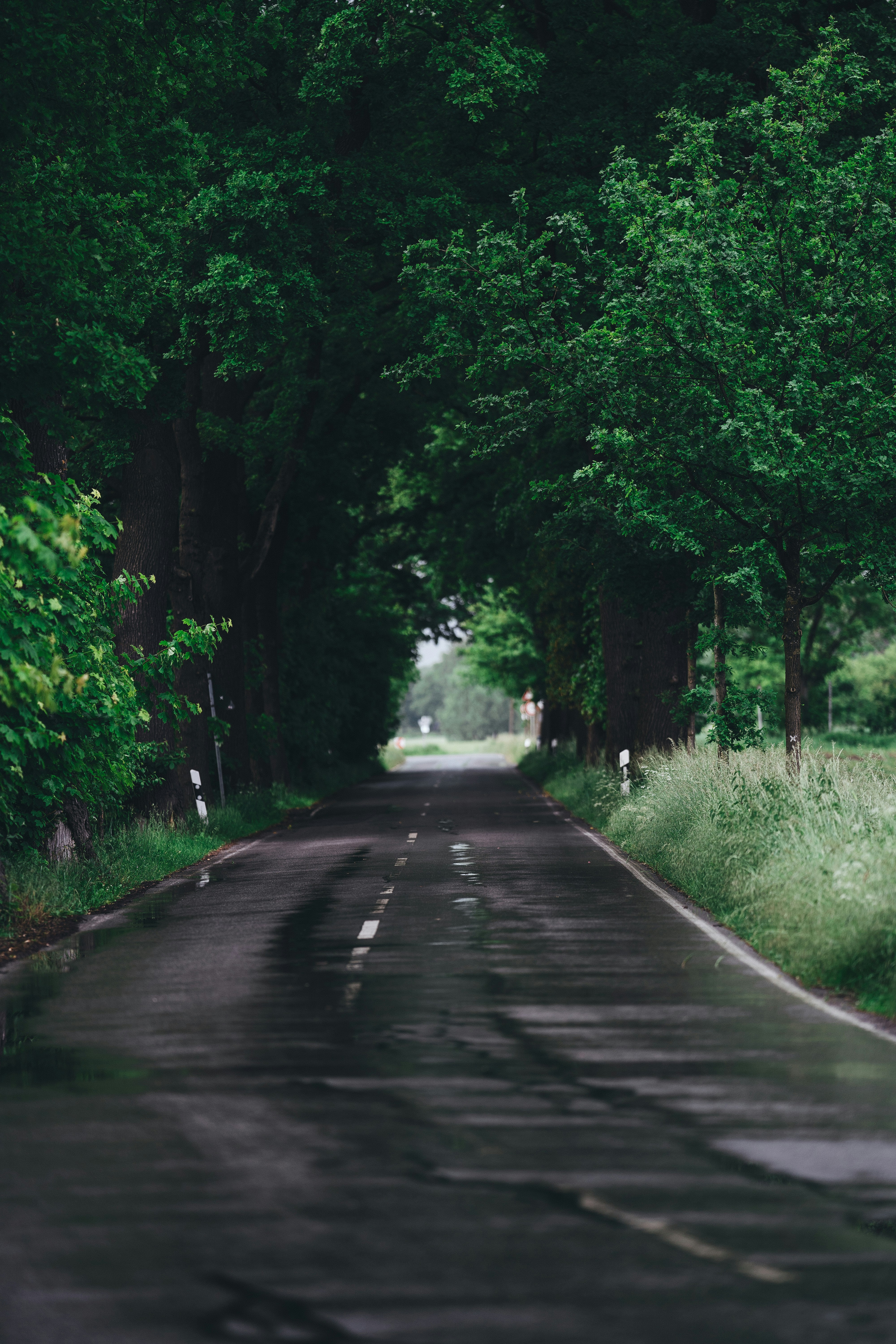 Photo by omarvellous14