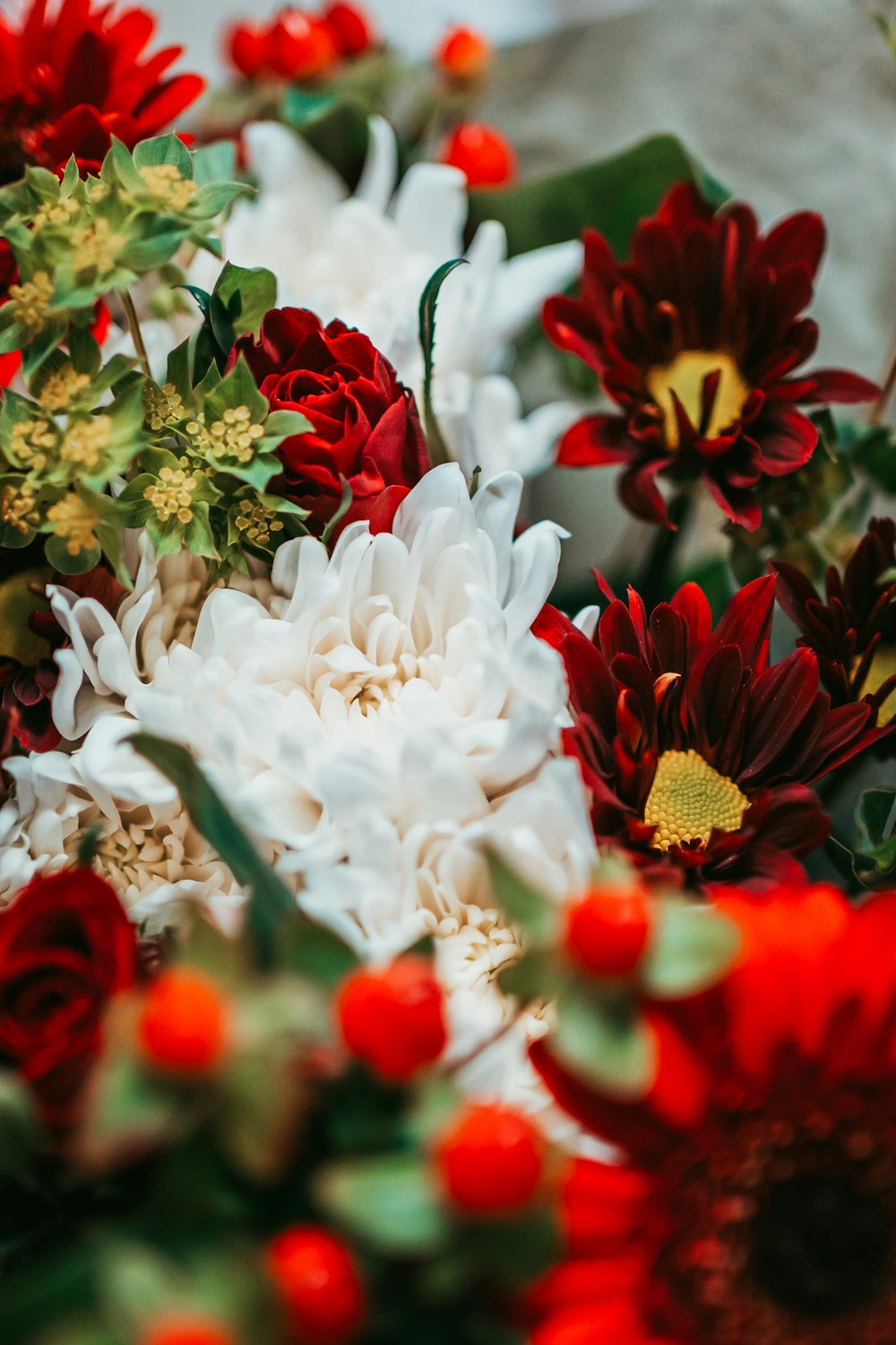 white and red flowers in bloom