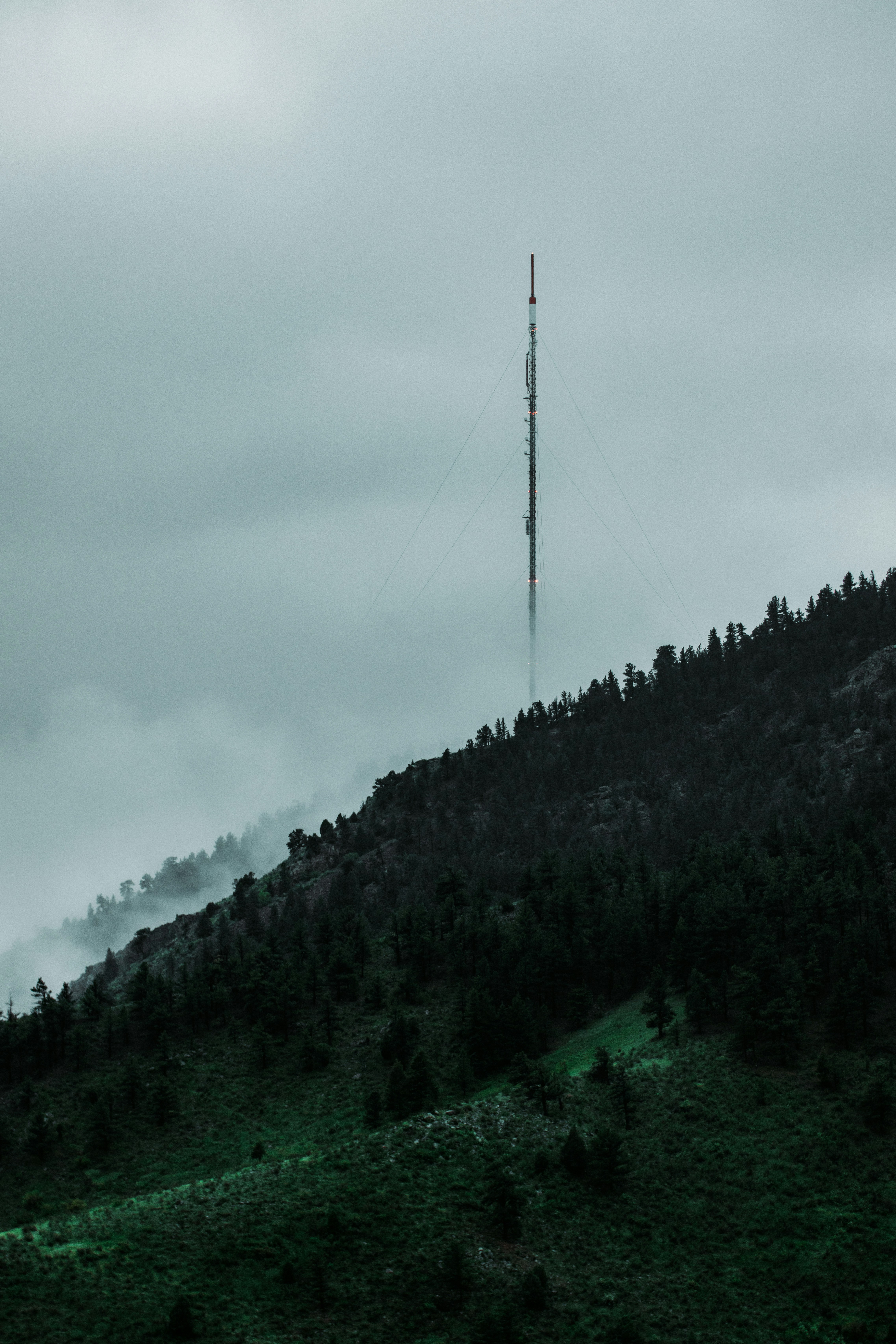 Photo by jakobnoahrosen