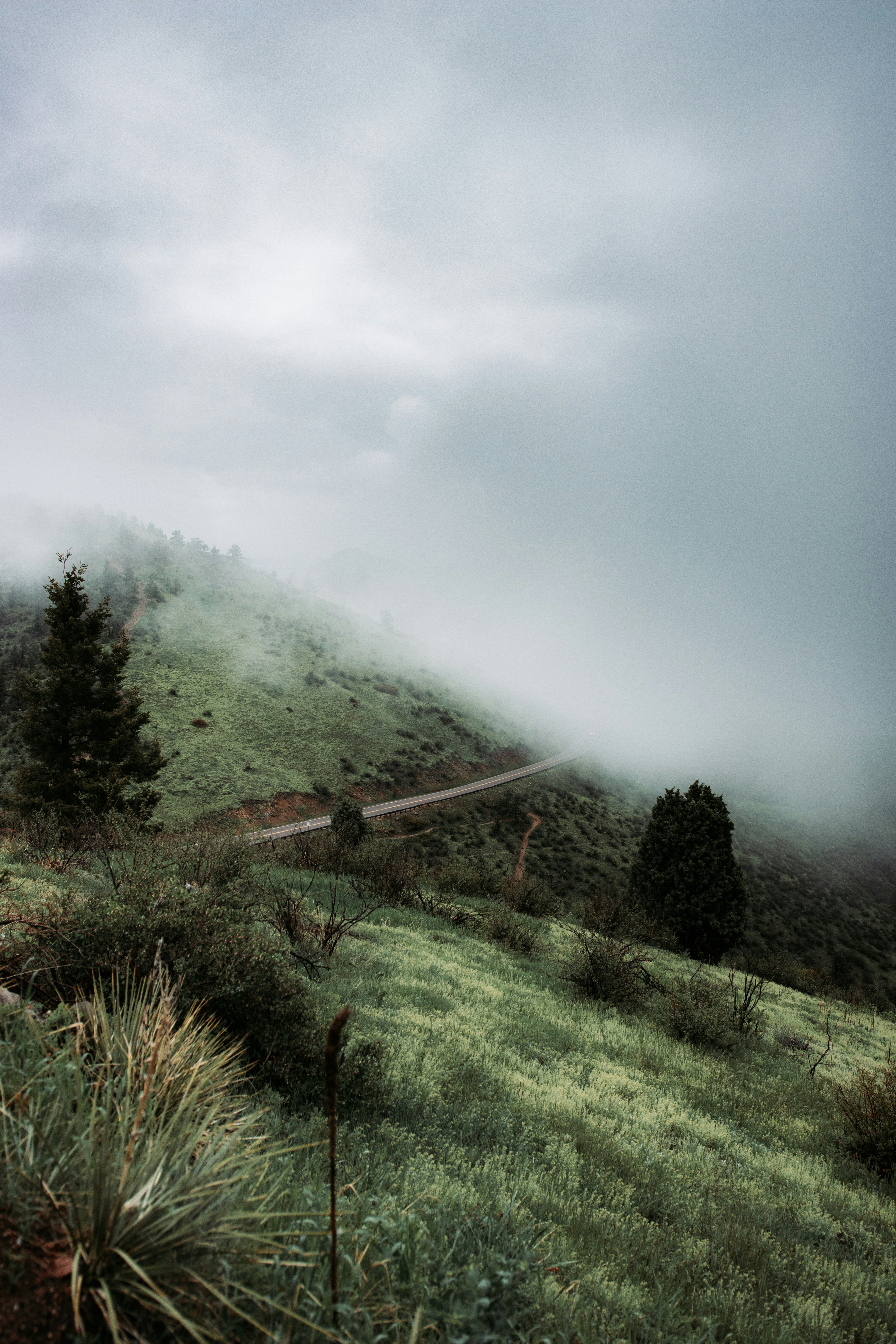 Photo by jakobnoahrosen