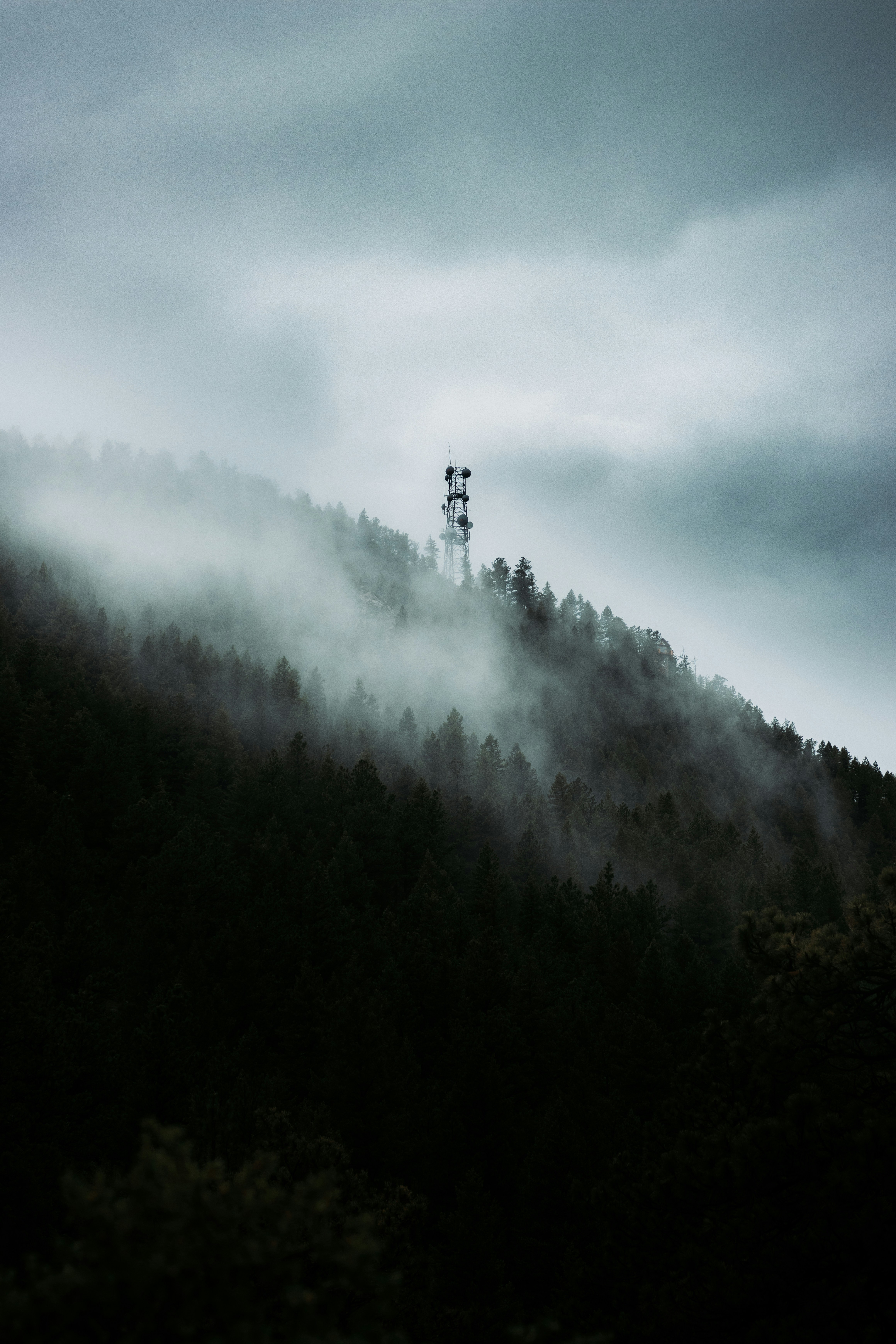 Photo by jakobnoahrosen