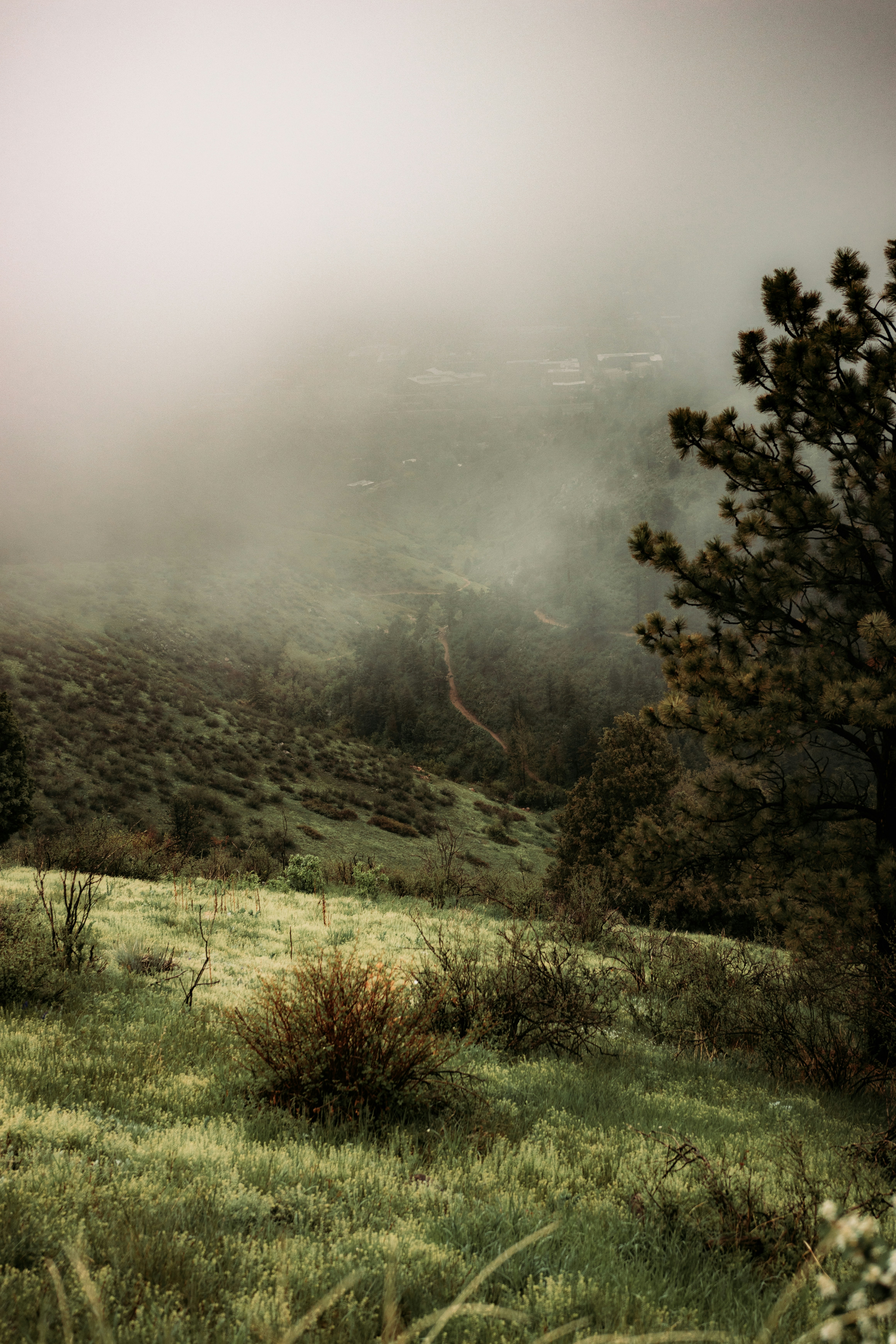 Photo by jakobnoahrosen