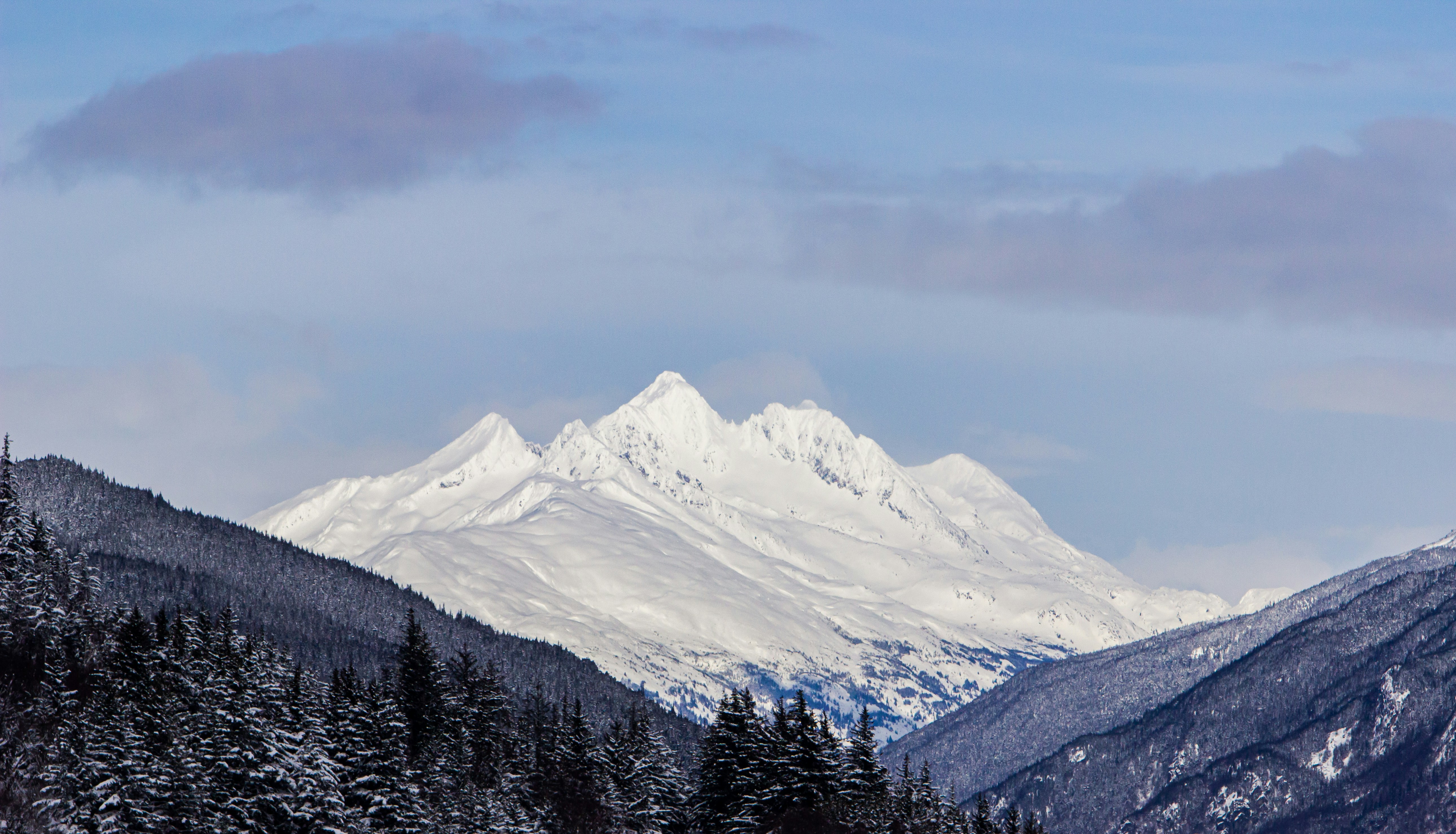 Photo by haeriesisdesigns