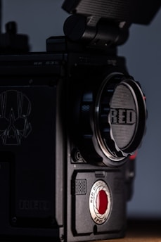 black and gray camera with red light