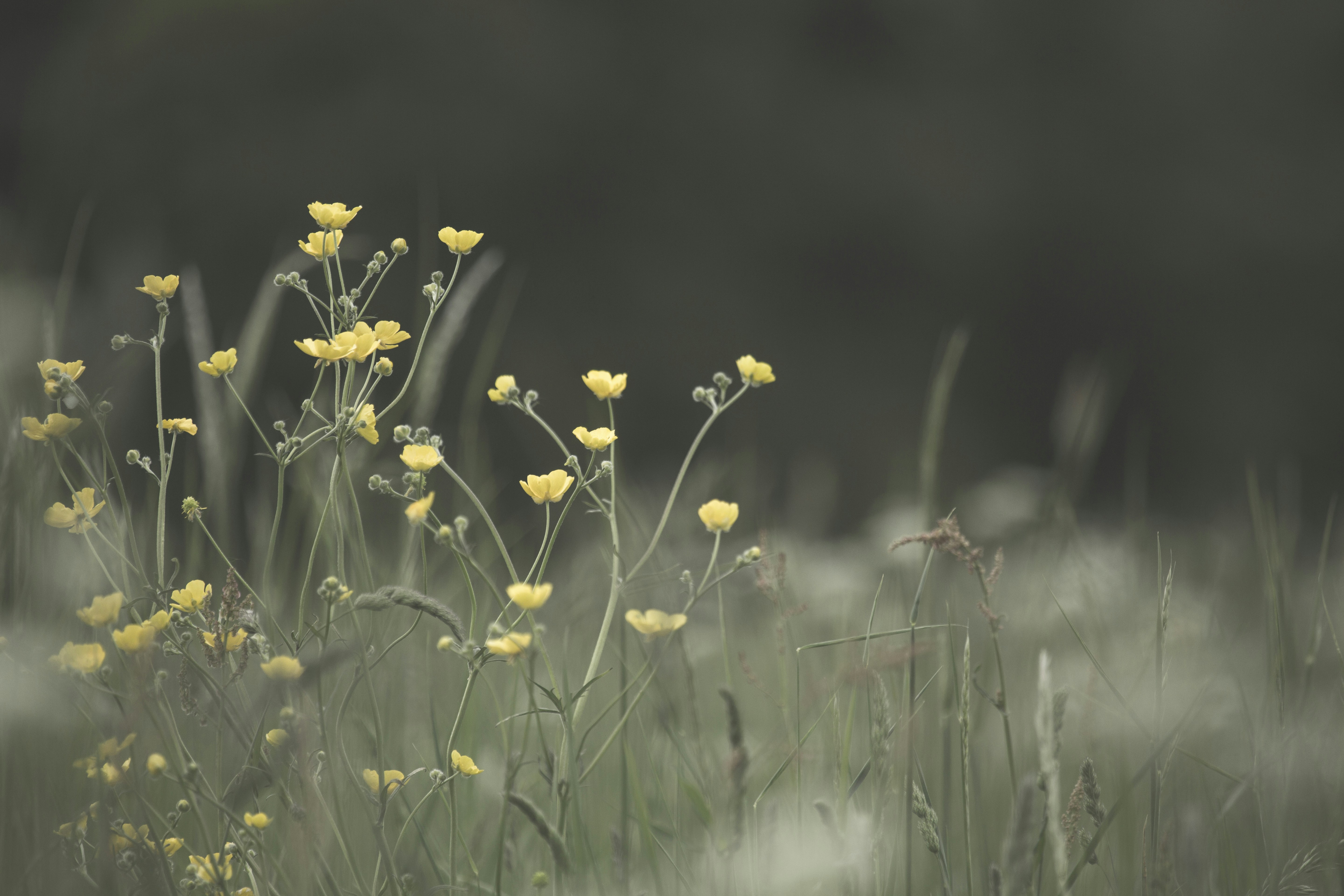 Photo by ditakesphotos