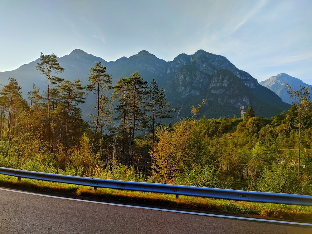 green trees near mountain during daytime