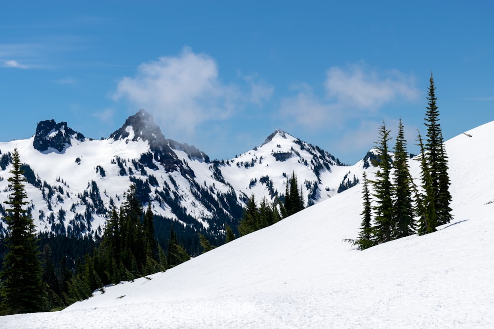 snow covered mountain during daytime