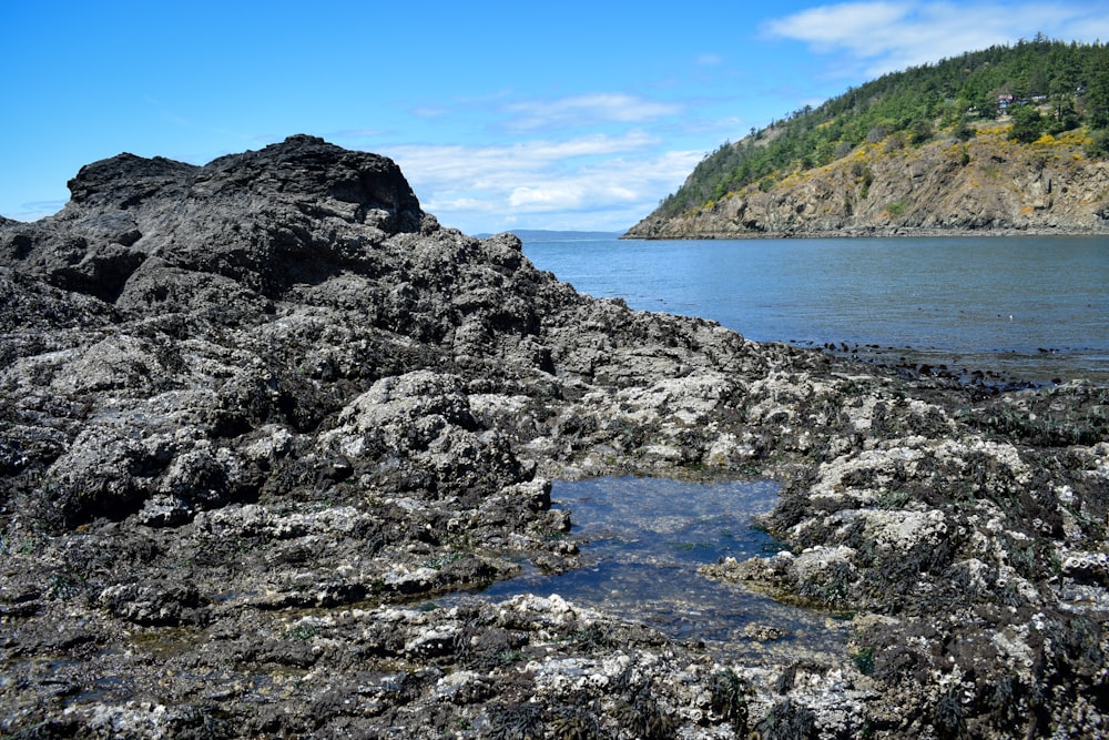 a rocky shore with a body of water in the distance