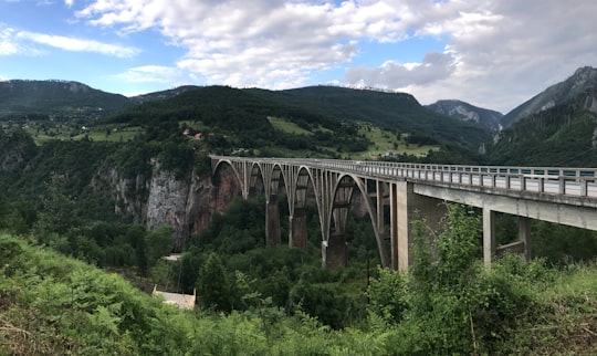 None in Durmitor mendigunea Montenegro