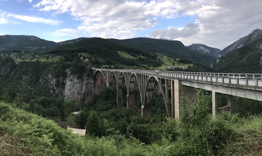 a large bridge over a lush green valley