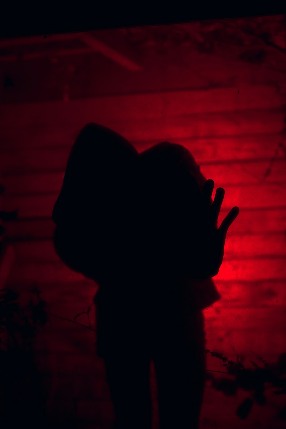 silhouette of persons hand