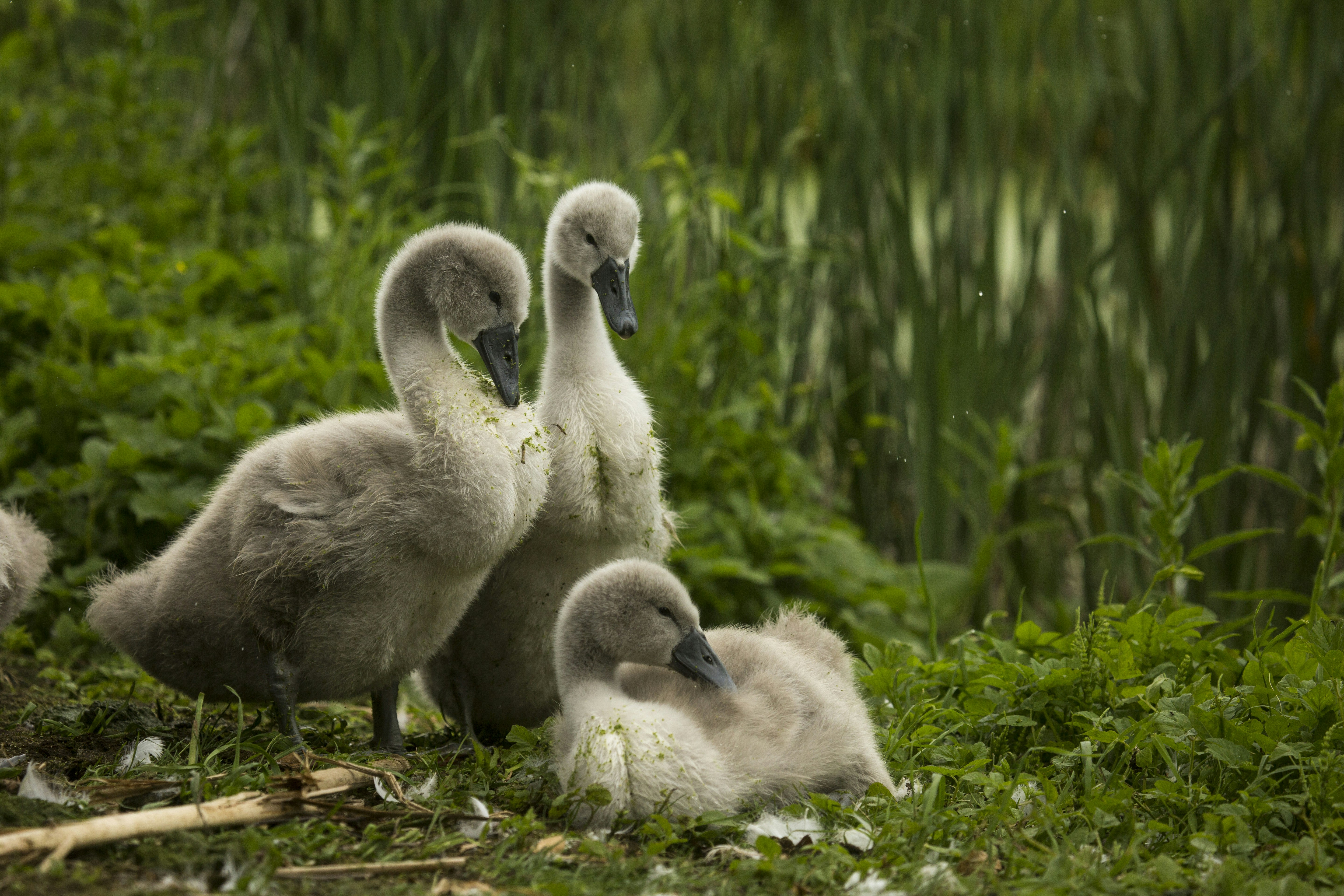 Photo by ditakesphotos