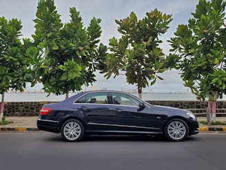 A black luxury sedan is parked by the side of a road, facing to the right. The background features a row of tall, green trees and a stone wall separating the road from a body of water. In the distance, a cityscape with several buildings is visible under a partly cloudy sky.