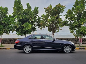 A black luxury sedan is parked by the side of a road, facing to the right. The background features a row of tall, green trees and a stone wall separating the road from a body of water. In the distance, a cityscape with several buildings is visible under a partly cloudy sky.