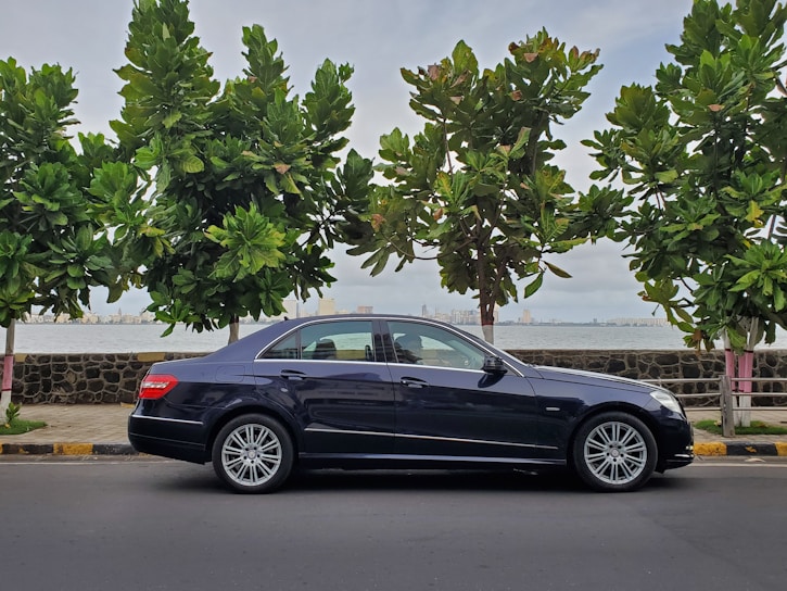 A black luxury sedan is parked by the side of a road, facing to the right. The background features a row of tall, green trees and a stone wall separating the road from a body of water. In the distance, a cityscape with several buildings is visible under a partly cloudy sky.