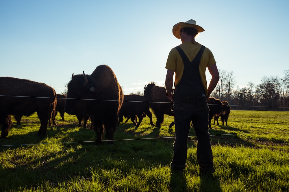 Hombre con camisa blanca y pantalones negros de pie en un campo de hierba verde con caballo marrón durante