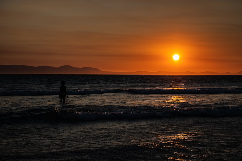 silhouette of 2 people standing on beach during sunset