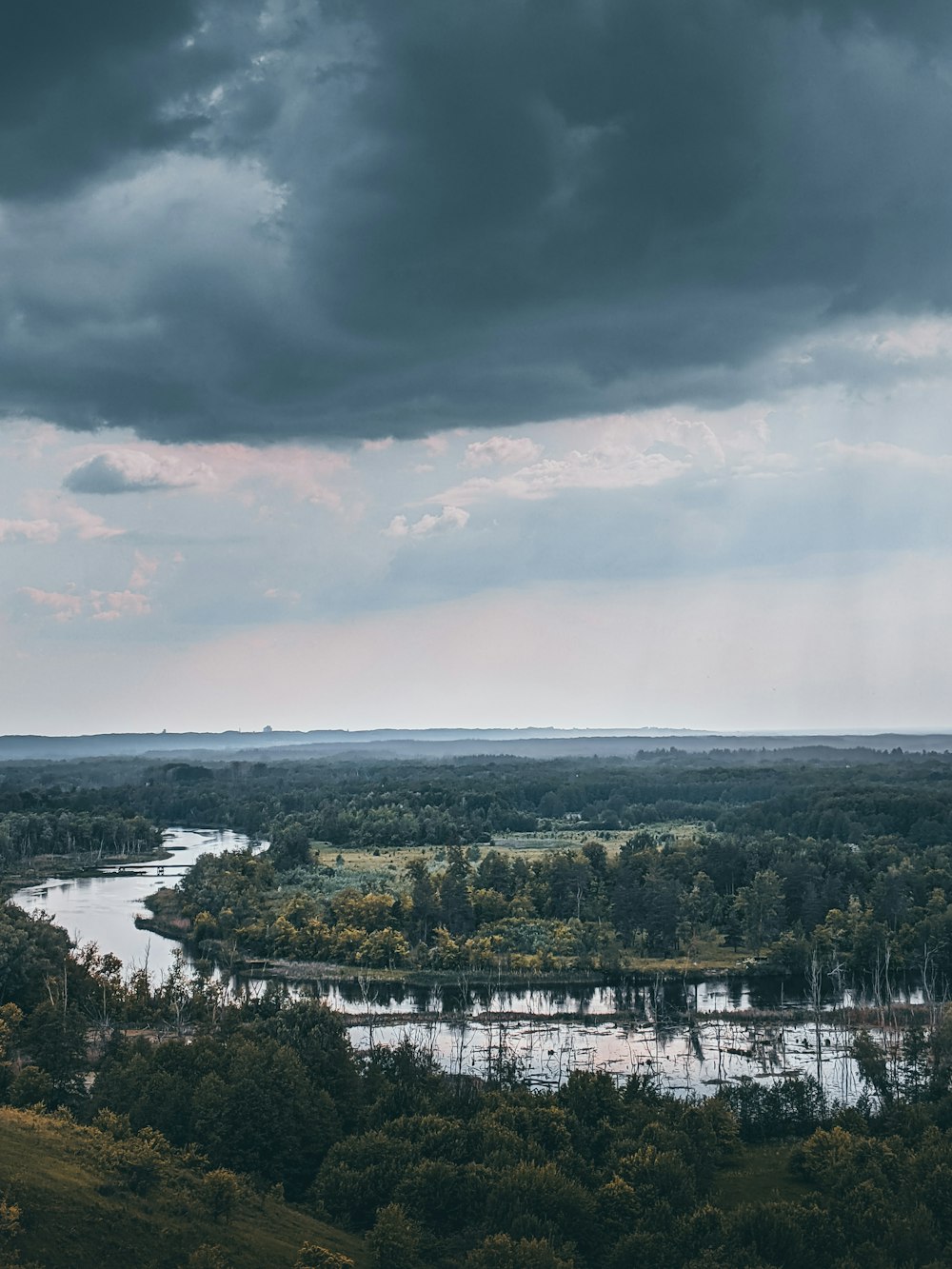 green trees near body of water under cloudy sky during daytime