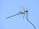 A large outdoor television antenna mounted on a metallic pole against a clear blue sky. The antenna is designed with multiple elements and rods to receive TV signals.