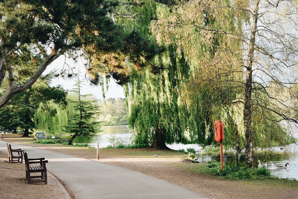 a couple of benches sitting on the side of a road