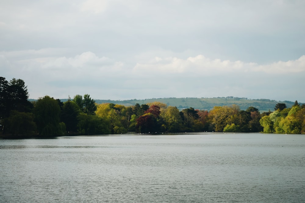 un plan d’eau avec des arbres en arrière-plan