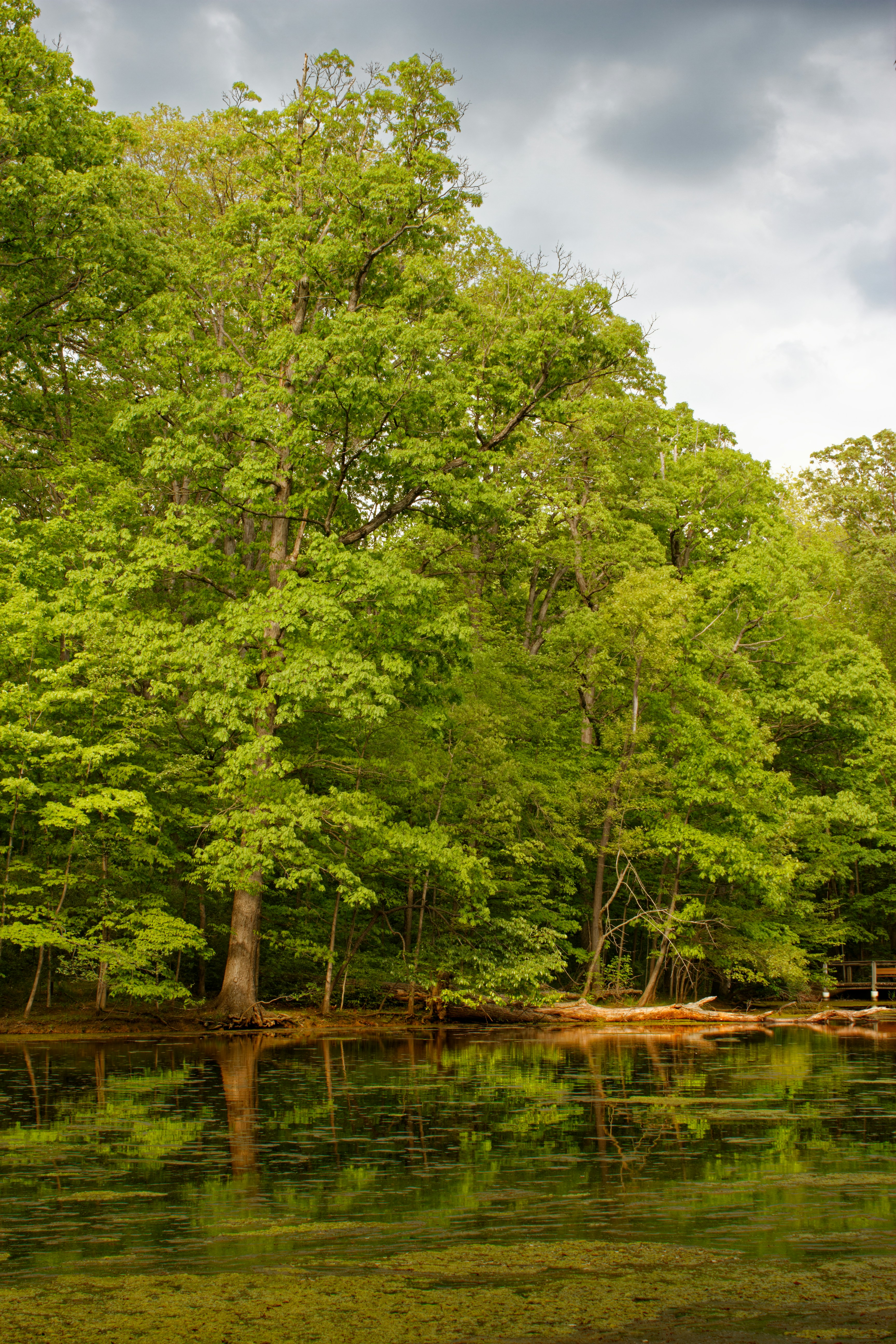 Photo by mrgreatheart