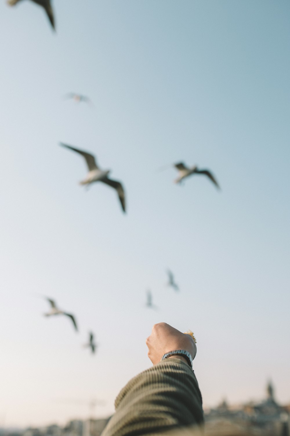 man in white tank top looking at birds flying during daytime